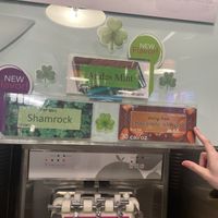 2 vegan flavors   at TCBY in Fort Collins