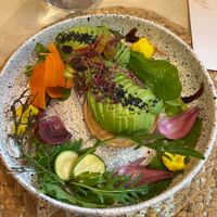  at Essentiale in Szeged