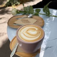   at Essentiale in Szeged