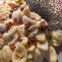 Our favourite: Pasta Carbo! at blattwerk in Freiburg