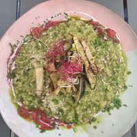 Seasonal risotto at blattwerk in Freiburg