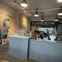 Knowledgeable staff and kombucha is available too  at Elevation Coffee in Tampa