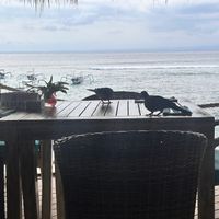   at Hai Bar & Grill in Lembongan