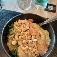  at Natur Poke - Puerto Pollença in Mallorca