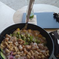  at Natur Poke - Puerto Pollença in Mallorca