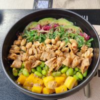  at Natur Poke - Puerto Pollença in Mallorca