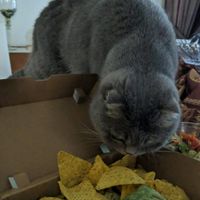 Chickpea curry wrap at Cafe Rider Custom in Dubai