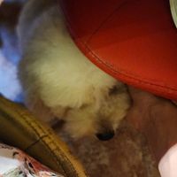  at TuLi KuSu in Ho Chi Minh City