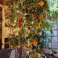  at TuLi KuSu in Ho Chi Minh City