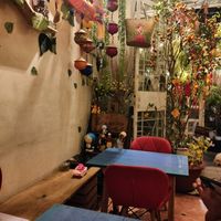  at TuLi KuSu in Ho Chi Minh City