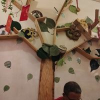  at TuLi KuSu in Ho Chi Minh City