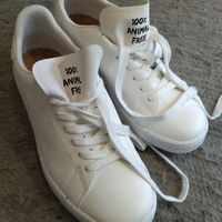 100% animal free at ACBC Store - Pop up in London