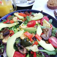 New green salad without the dairy at Blend in Bolsward