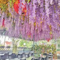  at Shanghai House in Zadar