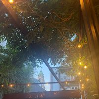  at Espécie in Porto