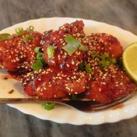  at Espécie in Porto