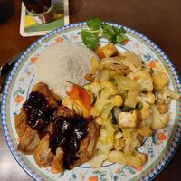 Reis der Heilsamkeit at Vegan Gesund in Hannover