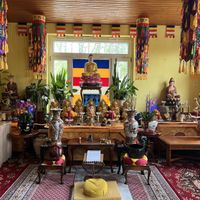   at Vegan Gesund in Hannover