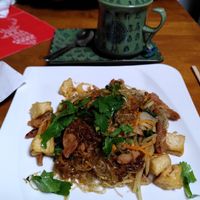 Fried glass noodles of wisdom at Vegan Gesund in Hannover