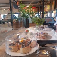  at Lumberjack Bio-Bergrestaurant in Kleinarl