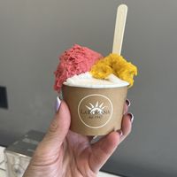   at Gelateria La Romana in Rome