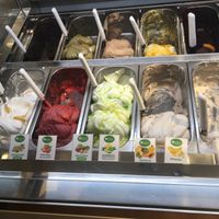 All of these are vegan   at Cento Gelato Artigianale Italiano in Naples