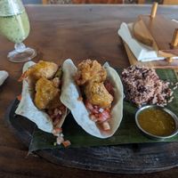 Cauliflower tacos with rice at Coco Loco in Playa Flamingo