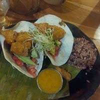 Crispy cauliflower tacos with Caribbean style rice and bean at Coco Loco in Playa Flamingo