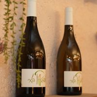   at Adam et Eve Cafe - Restaurant Végétarien in Paris