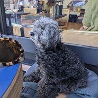  at Rad Radish in San Francisco