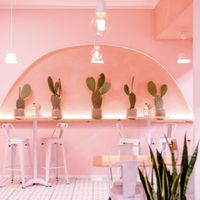 Restaurant Decor   at Hail Mary in Burleigh Heads