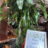   at Don't Tell Aunty in Surry Hills