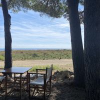   at Rosarito Cafe in L Hospitalet De L Infant