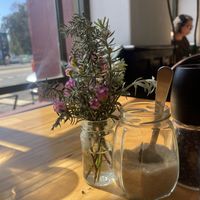   at Momo Wholefood in Newcastle