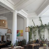   at Momo Wholefood in Newcastle