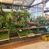 Time Out Market at Time Out Market in Lisbon