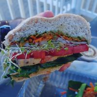 Vegan sandwich at The Tomato Head - downtown in Knoxville