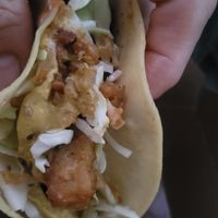Fish style taco at Green New American Vegetarian in Phoenix