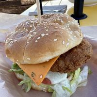   at Green New American Vegetarian in Phoenix