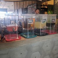 Tea and lemonade at Green New American Vegetarian in Phoenix