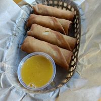 Spring rolls at Green New American Vegetarian in Phoenix