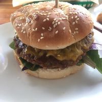 The Classic Burger is topped with beautiful greens, tomato, pickles and ketchup on a sesame seed bun. So darn satisfying. I could eat these daily! at Green New American Vegetarian in Phoenix
