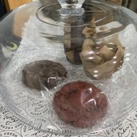 Desserts  at Plant Pizza in Cooper City