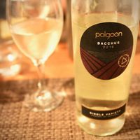  at The Bean Inn in St Ives