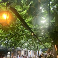 Live orkest  at Weingasthaus Breuer's Rüdesheimer Schloss in Ruedesheim Am Rhein