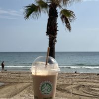   at PLANT SHACK - Calpe in Calpe