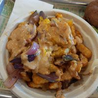 Special style fries at Next Level Veggie Grill in Denver