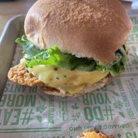 Fire chicken sandwich   at Next Level Veggie Grill in Denver