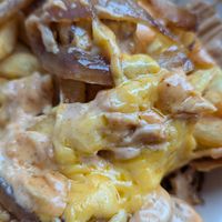 Animal style fries at Next Level Veggie Grill in Denver
