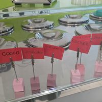 The vegan milk icecream flavors at La Pecora Nera in Olbia
